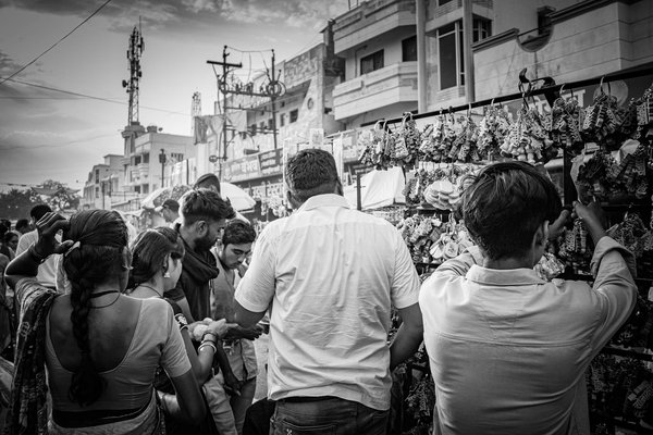Baleines à l'île maurice : un voyage inoubliable en mer