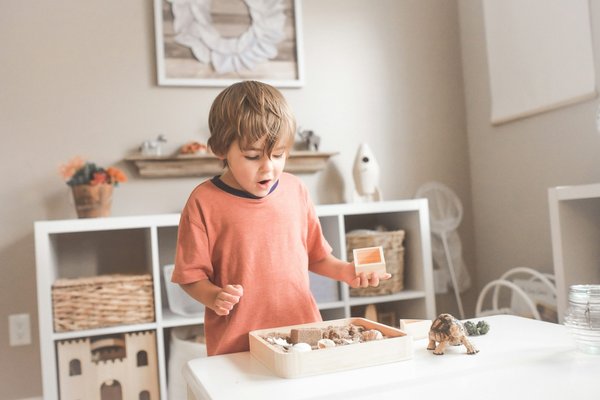 Top ressources montessori pour parents et éducateurs